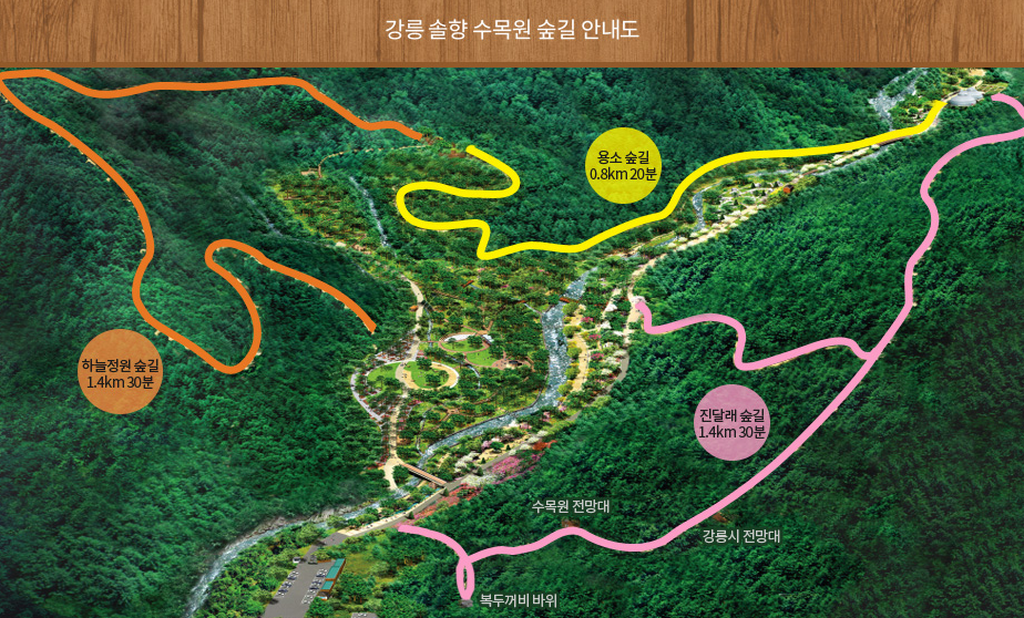 강릉솔향수목원 기본 정보