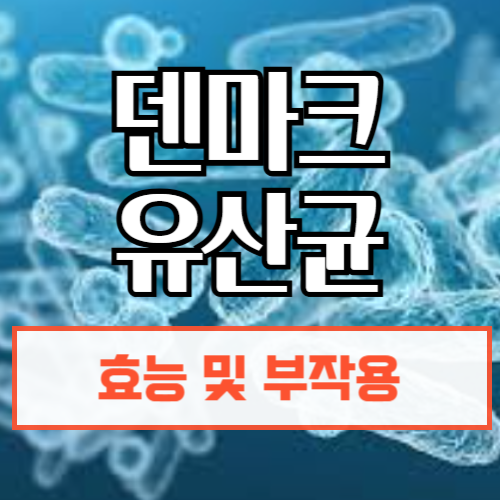덴마크유산균효능부작용