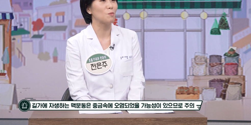 맥문동 먹는 방법