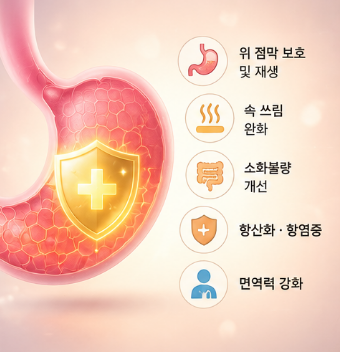 양베진-효능-내돈내산-후기-성분-가격-섭취방법