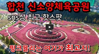 합천 핑크뮬리 신소양체육 공원 맛집 및 무료 주차 꿀팁
