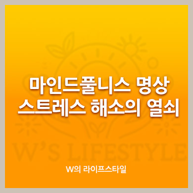 마인드풀니스 명상: 스트레스 해소의 열쇠