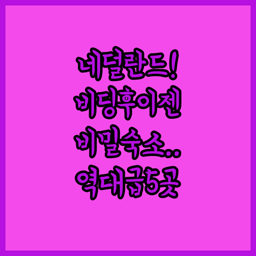 네덜란드 비딩후이젠에서 나만 알고 싶..