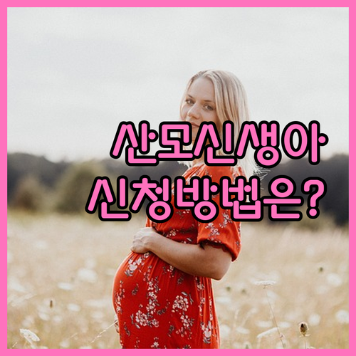 2025 김해시 산모신생아 건강관리 ..