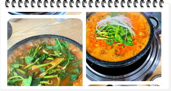 전현무계획2 통영 40년전통 곱창전골 양구이 대창구이 후기