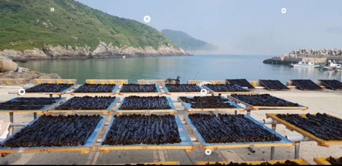 극한직업-맹골도-돌미역-택배-주문