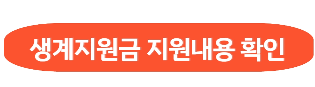 생계지원금 지원내용 확인