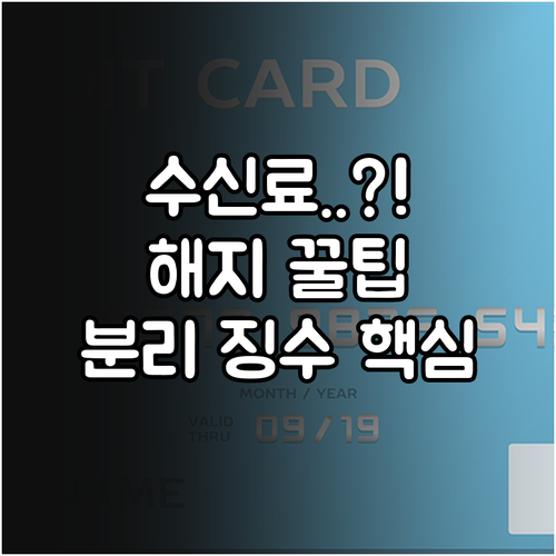 KBS TV 수신료 해지 면제 절차 ..