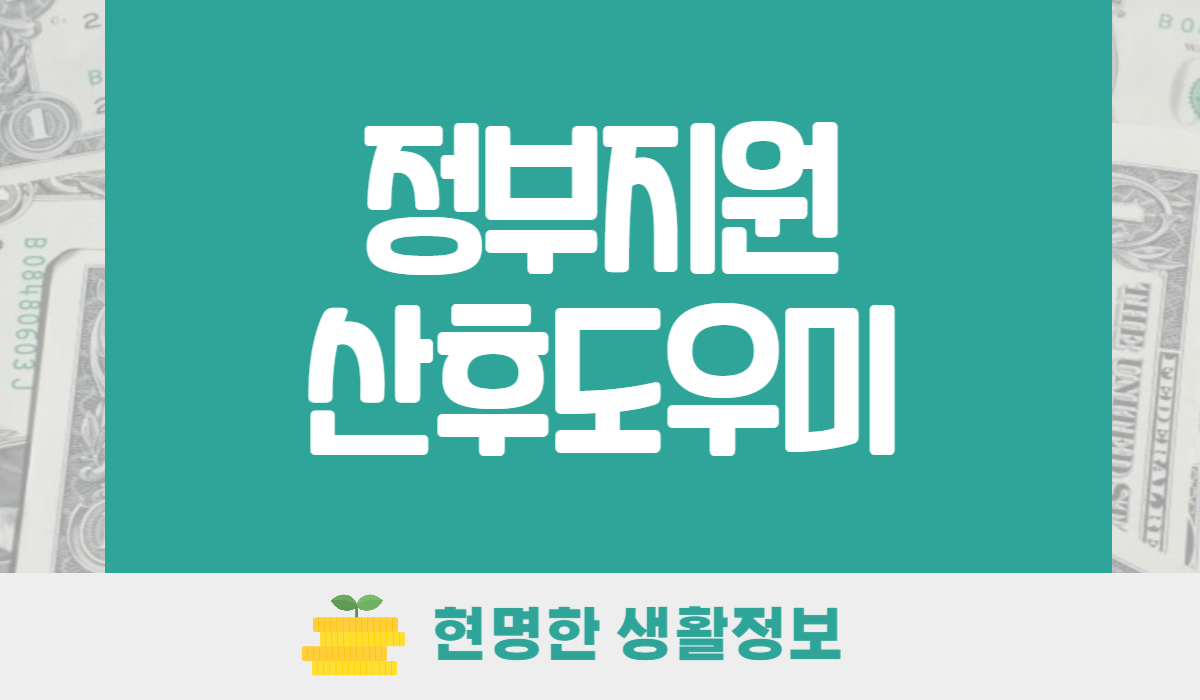 정부지원 산후도우미