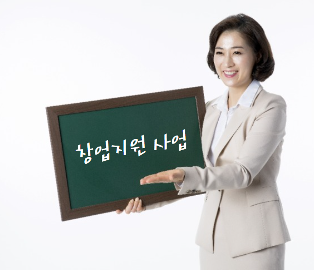 정부와 지자체의 창업지원사업 몰아보기