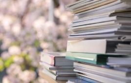 스프링 피버 뜻