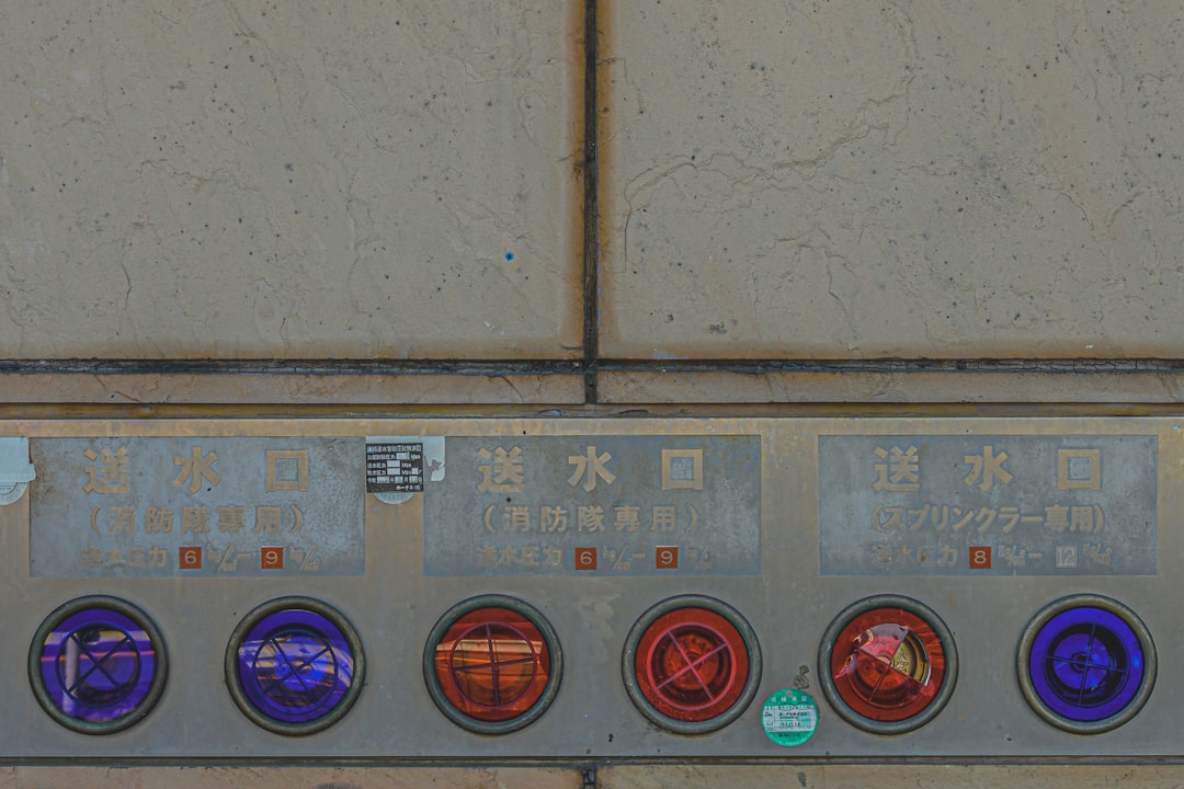 Individual Customs Code