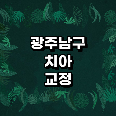 광주 남구 교정 치과