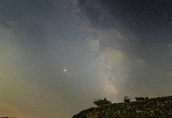 전국수선화명소