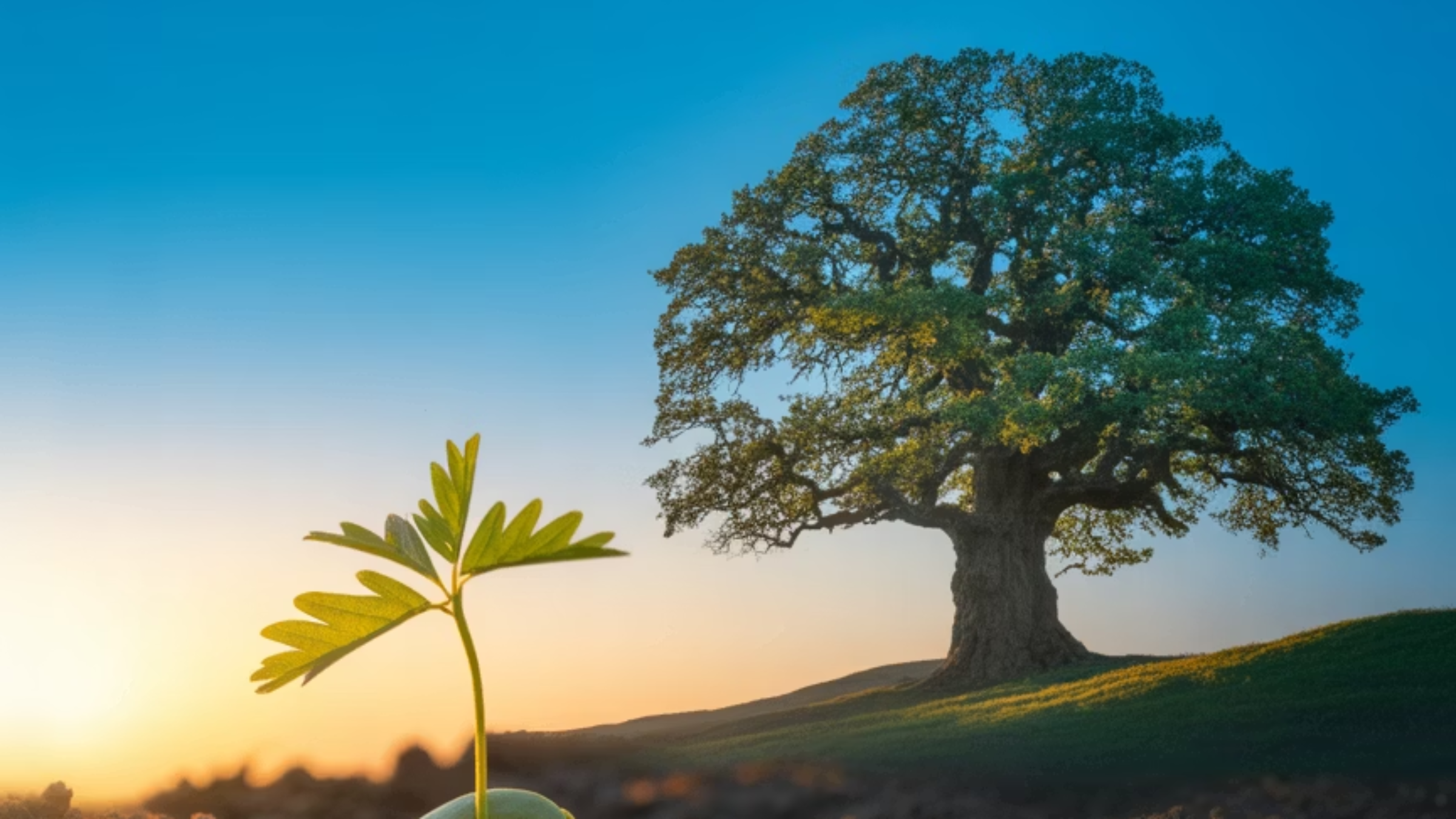 작은 습관으로 만드는 큰 변화의 시작
