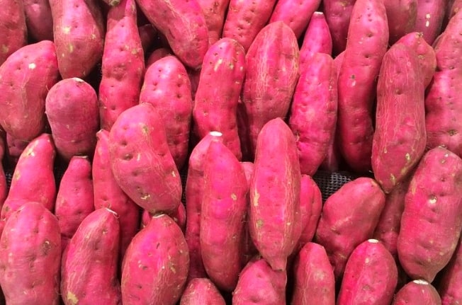 고구마효능-혈관건강