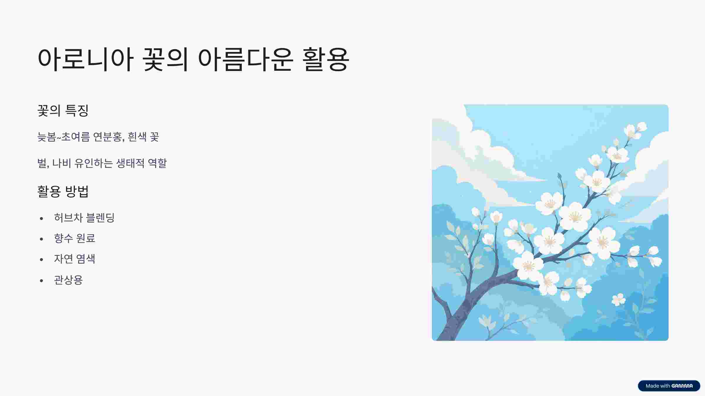 아로니아꽃-활용