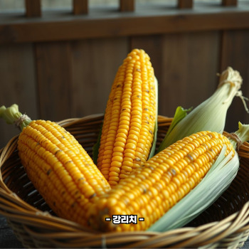 초당옥수수 효능