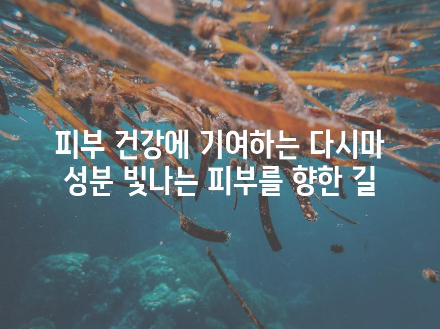 피부 건강에 기여하는 다시마 성분 빛나는 피부를 향한 길