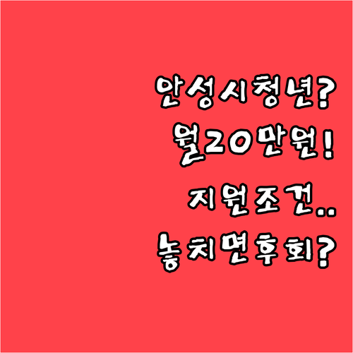 안성시 청년월세 지원 월 20만원 받..