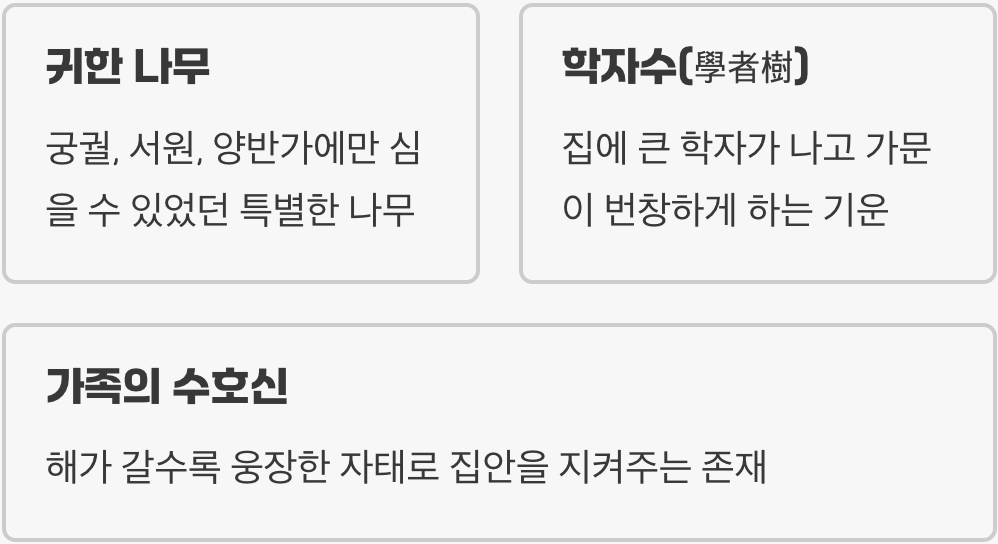 집안에 행복을 부르는 나무