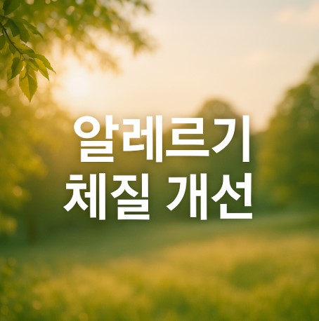 알레르기 체질 개선법 총정리