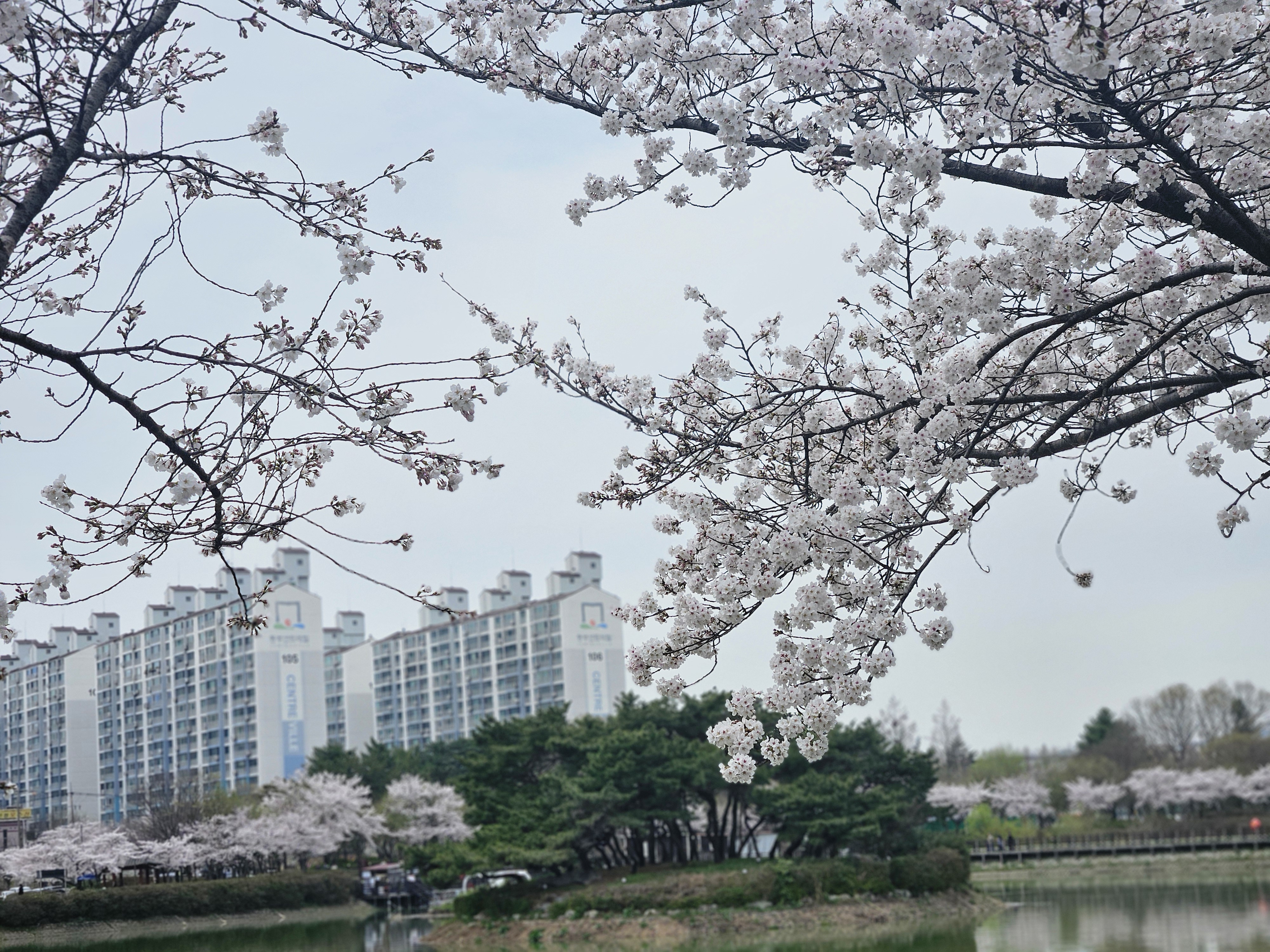 쌍암공원