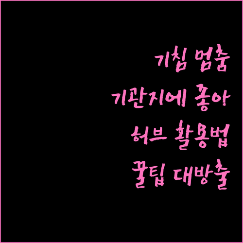 기침 멈추는, 기관지에 좋은 허브 활..