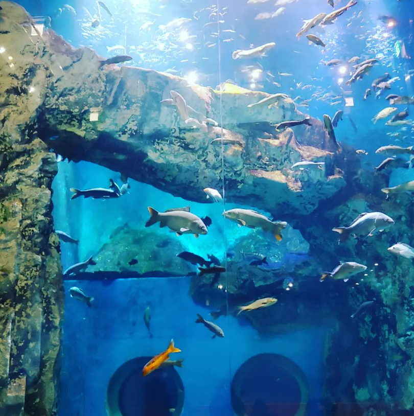 단양 가볼만한 곳