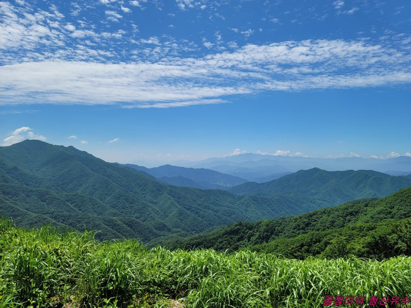 장안산 등산지도