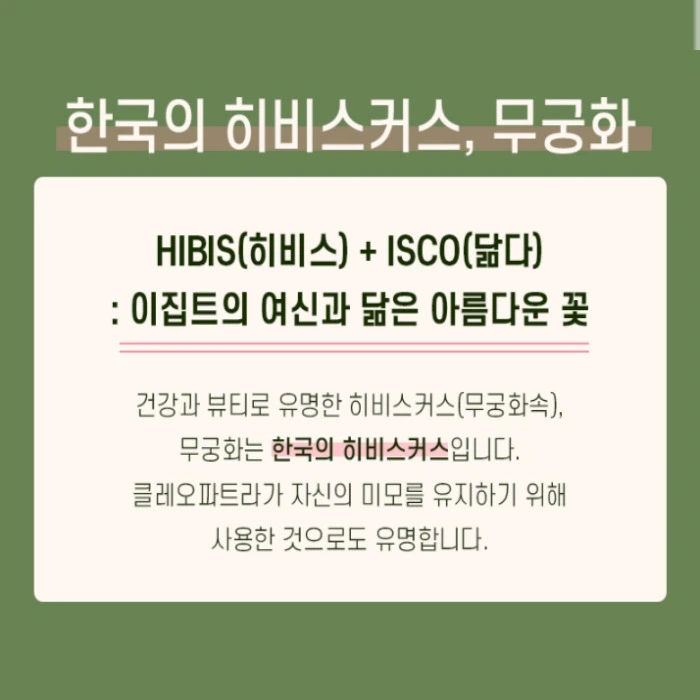 무궁핏 부작용 효능 내돈내산 후기 복용법 다이어트 효과
