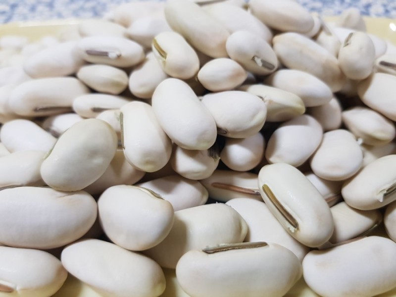 작두콩 효능 9가지 부작용