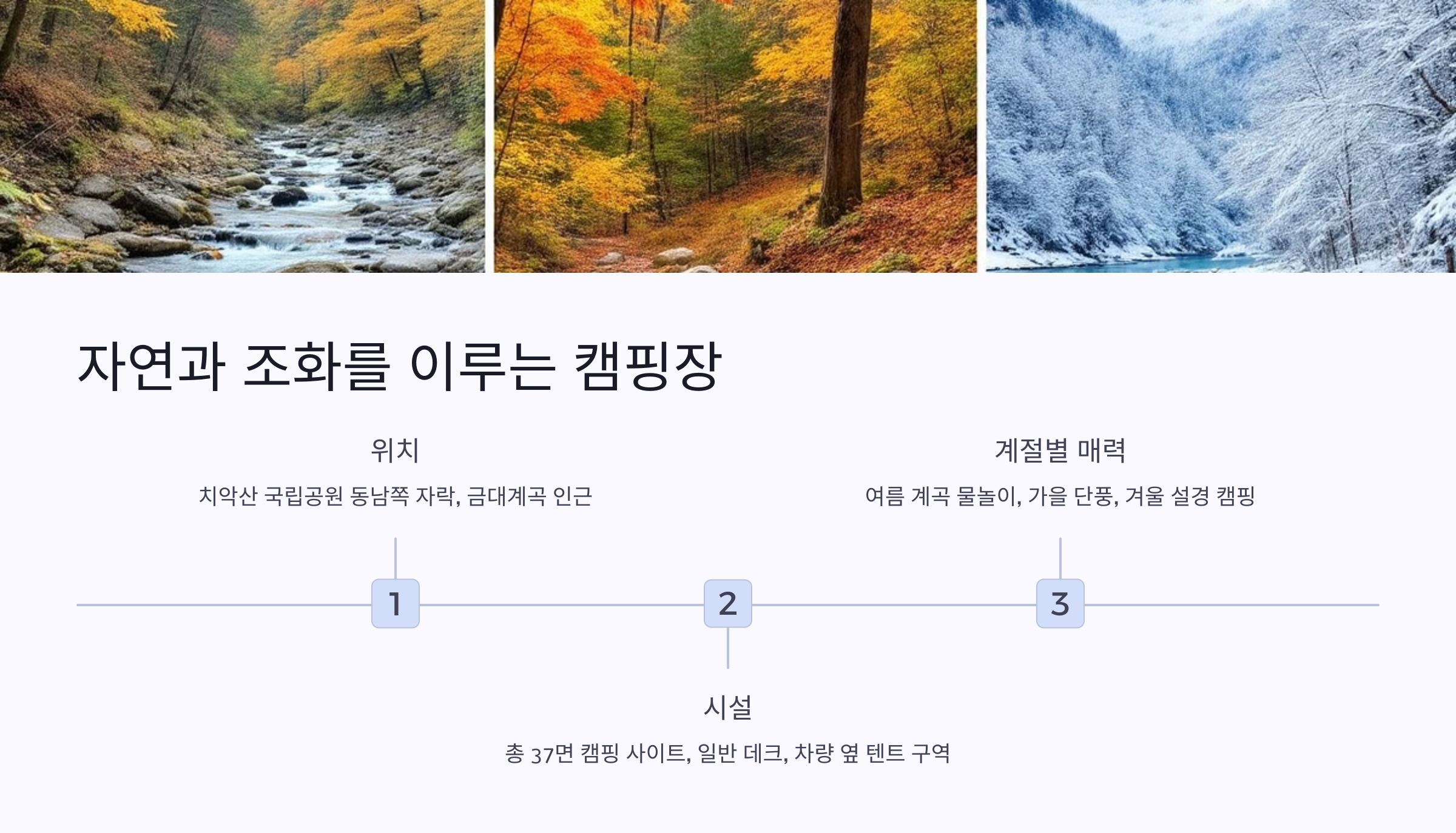 🌿치악산 금대 야영장, 자연 속에서의 진짜 쉼!