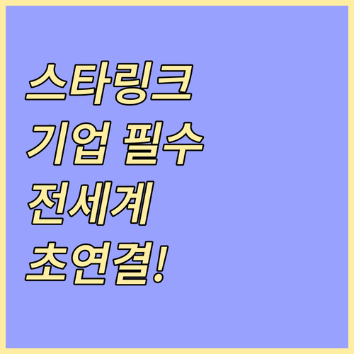 스타링크 위성 인터넷 커버리지와 기업..