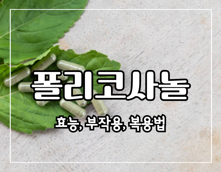 이 이미지는 폴리코사놀에 대한 포스팅의 대표 이미지입니다.