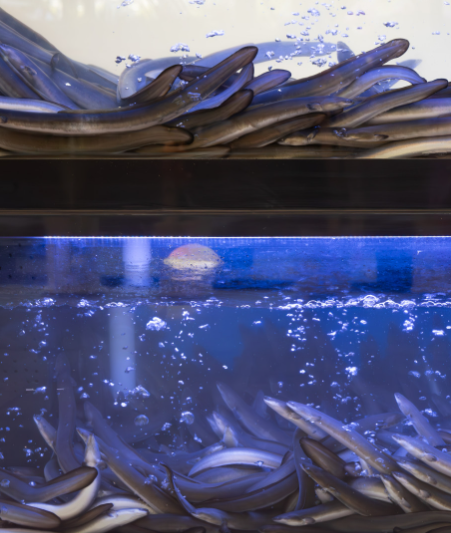 품장 대표 메뉴