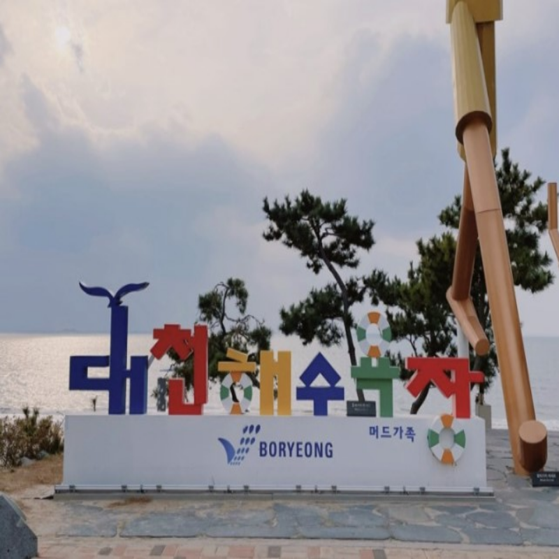 겨울 바다 여행지 추천 겨울 대천해수욕장