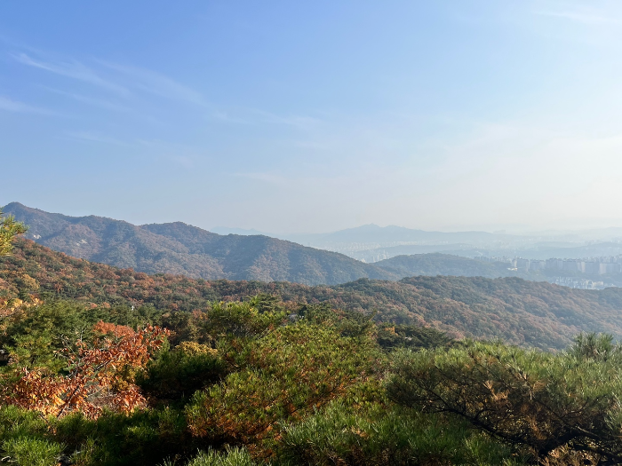 진짜 예쁘다