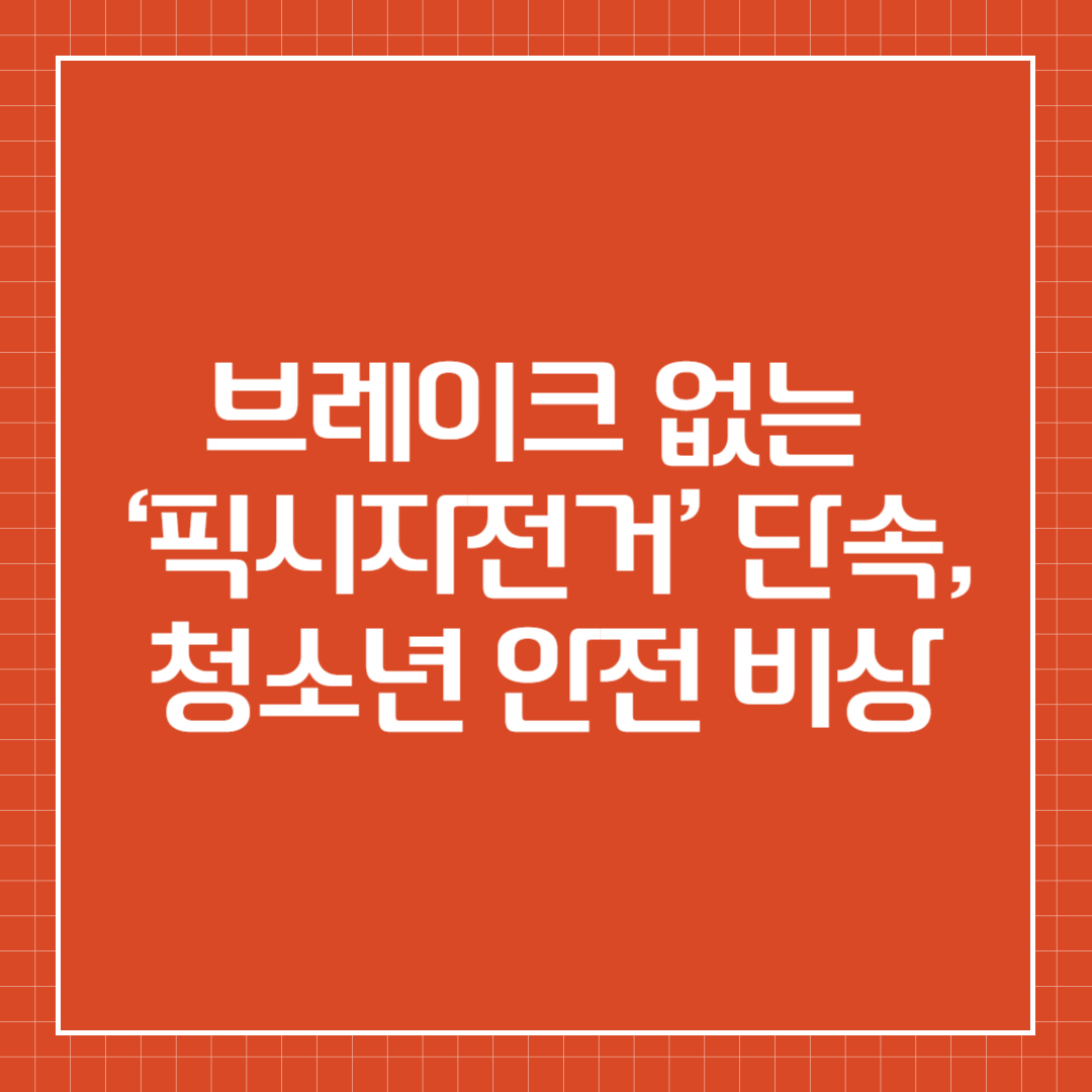 브레이크 없는 &lsquo;픽시자전거&rsquo; 단속, 청소년 안전 비상