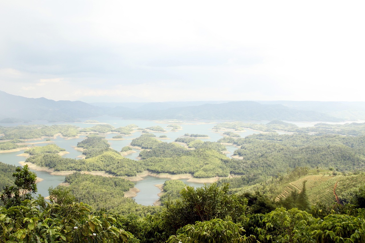 산림복지바우처 카드 숙소 예약
