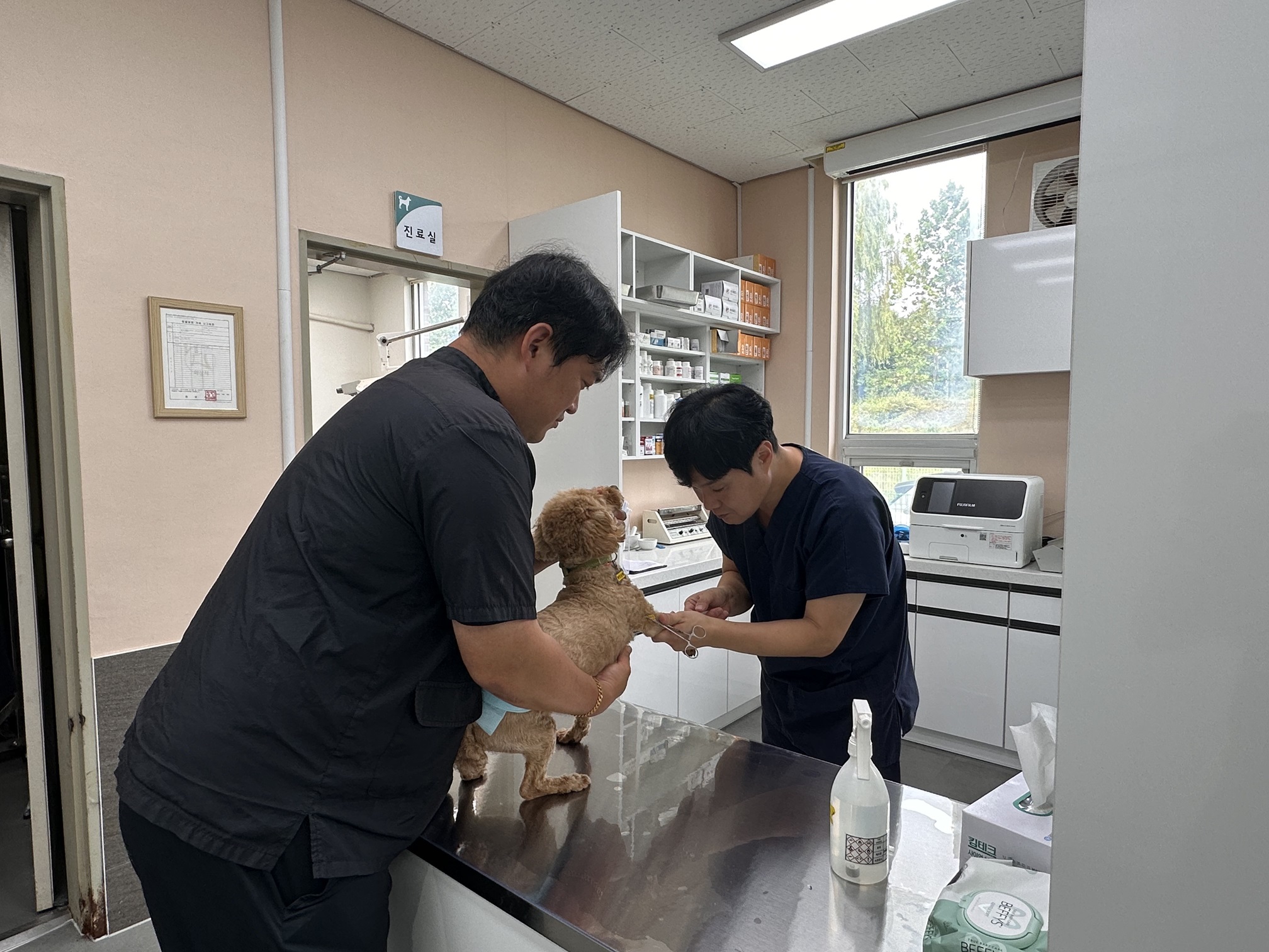 경기도 동물병원 진료비 게시1