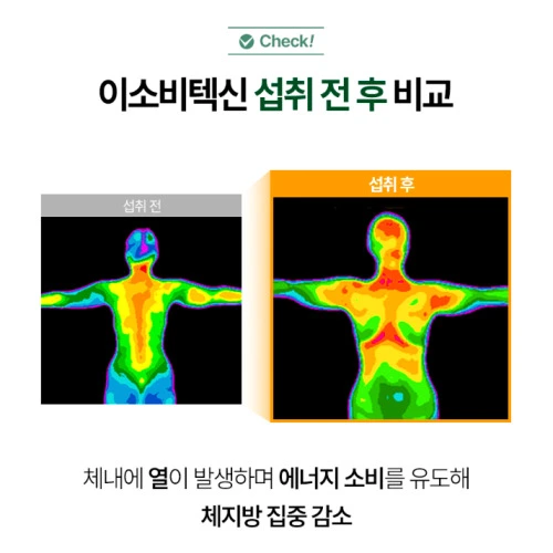 소우코우 이소비텍신 다이어트 효능 부작용 가격 내돈내산 후기