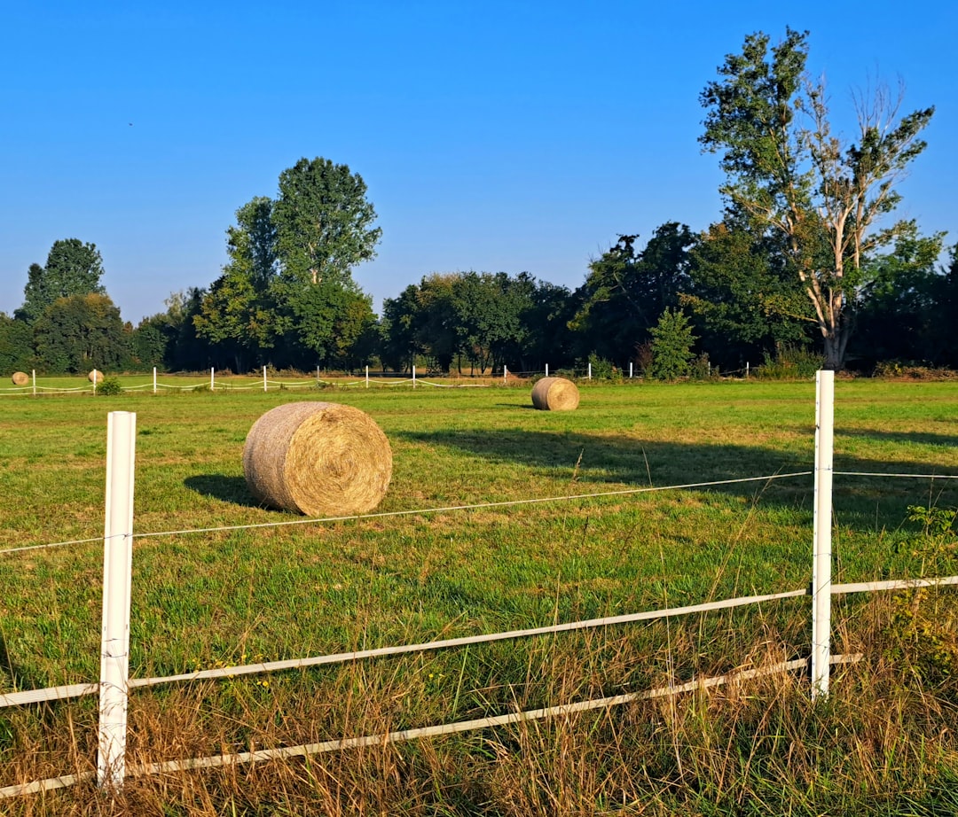 농업 (Agriculture)