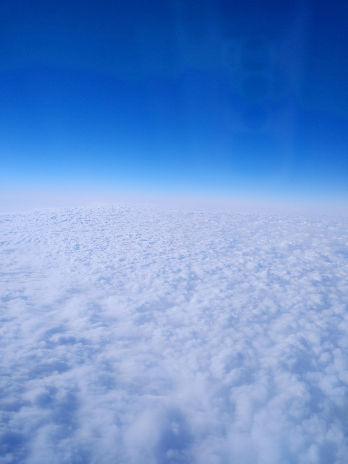 폴란드항공 비즈니스