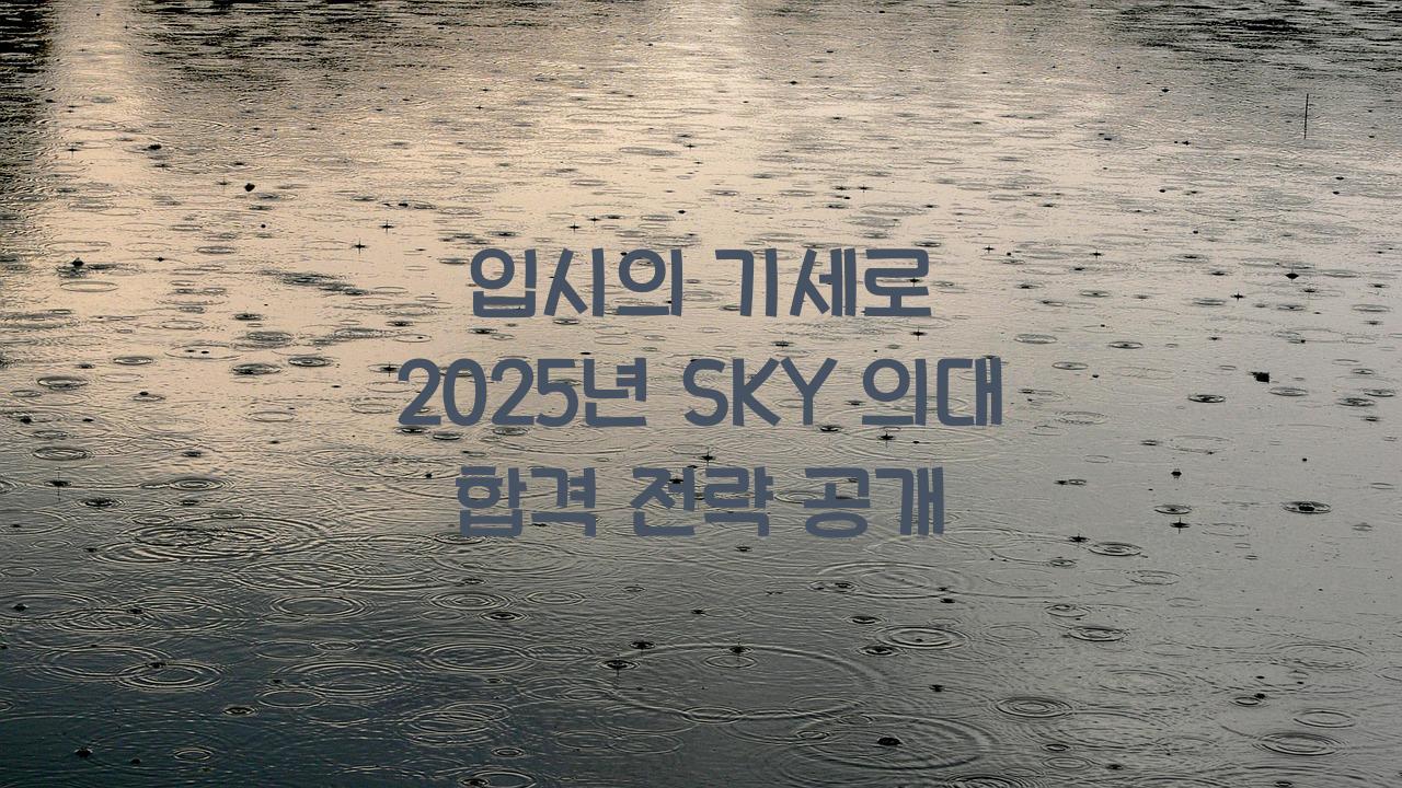 입시의기세