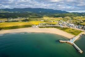  2024 전국 해수욕장 개장일 정리와 특징 - 충청도