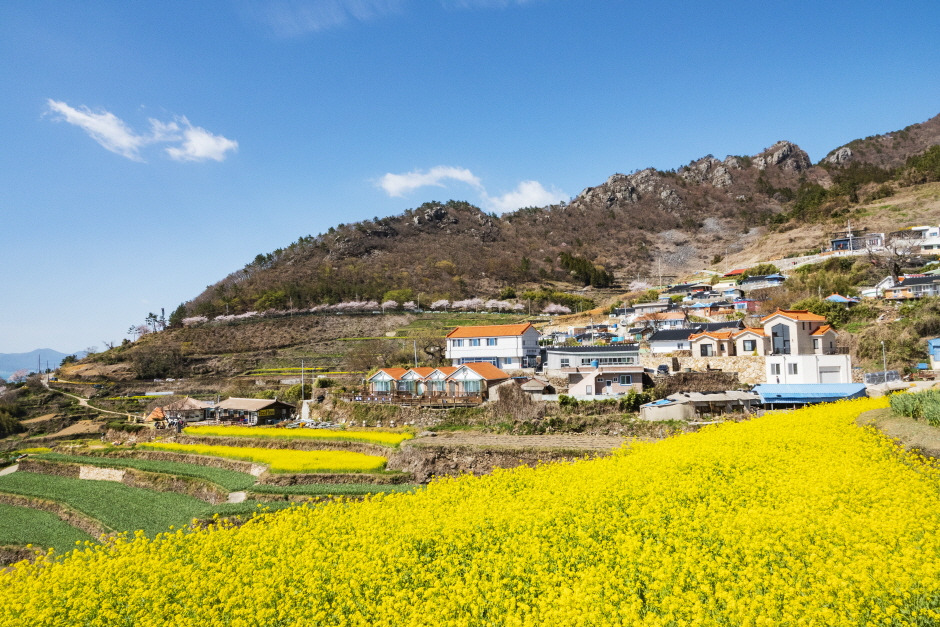 남해여행 가볼만한 곳 베스트10 - 남해 계단식 논