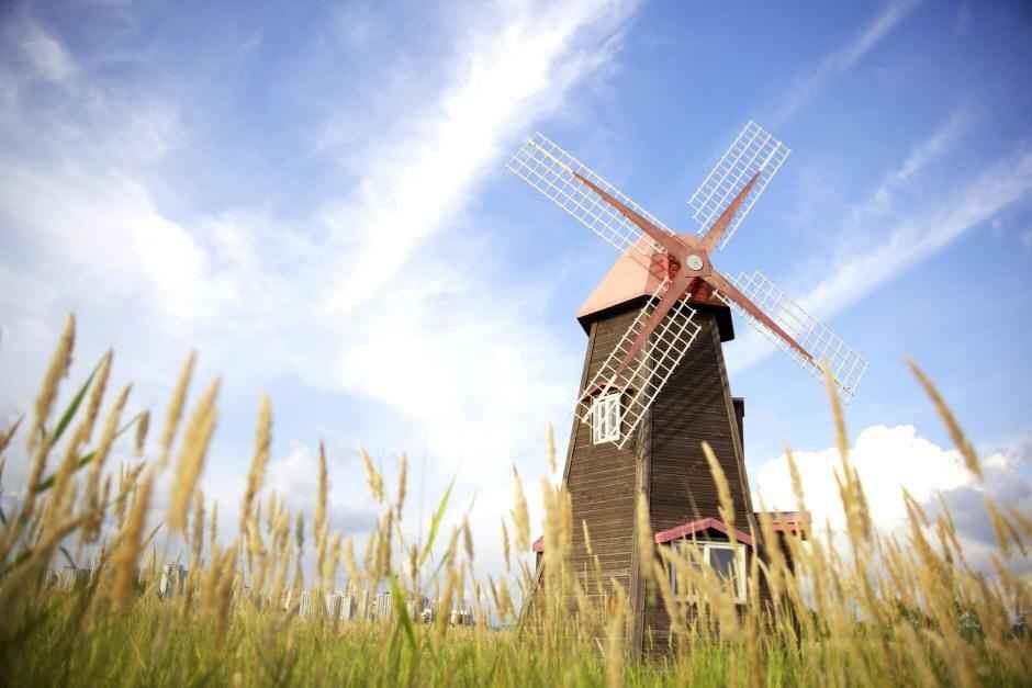 소래습지생태공원