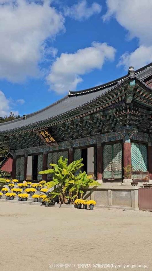 순천 가볼만한곳 베스트10