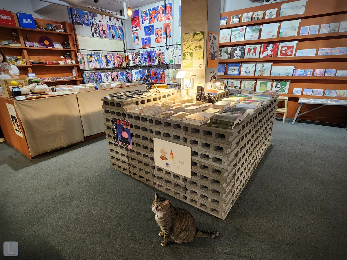 대구-동구-독립서점-심플책방-내부-책과-고양이